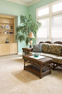 Professional residential and commercial carpet cleaning Watertown, WI