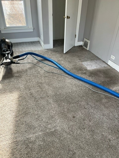 Carpet Cleaning Before