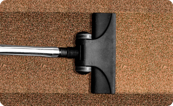Best Carpet Cleaning Company Wisconsin