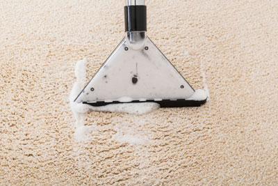 Lake Geneva Carpet Cleaner