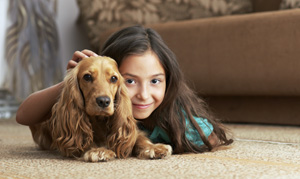 Carpet and upholstery cleaning services in Oconomowoc