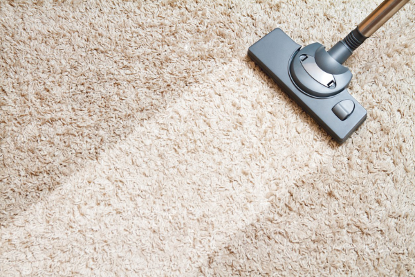 Carpet cleaners in Delafield, Wisconsin